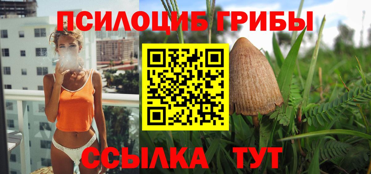 Троицк  Псилоцибиновые грибы Psilocybine cubensis  Вход с VPN 